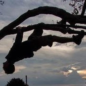 Fergus Kane's photo