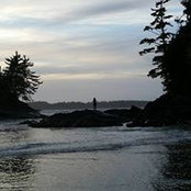 DeeDee Cahill's photo