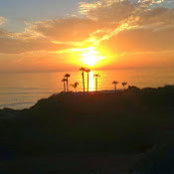 Robert Conti's photo