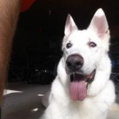 Greg Roemen's photo