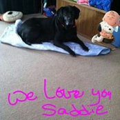 Debbie Barrett Hall's photo