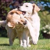 Gabriele Hoffmann's photo