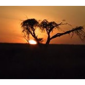 Sandy Sale's photo
