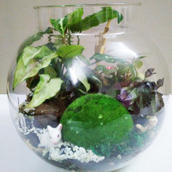 Petite Gardens: Woodland creatures - Products