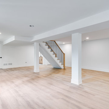 Chicago- Basement Remodeling