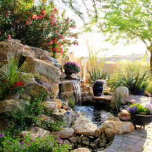 Landscape And Fountains