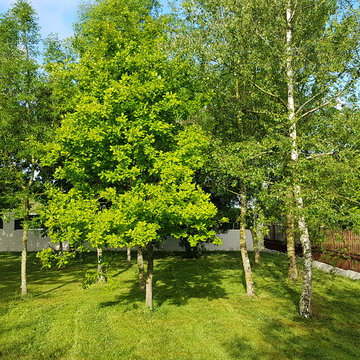 vue sur le verger et la cloture en acier corten