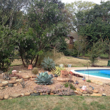 cactus & Succulent Gardens