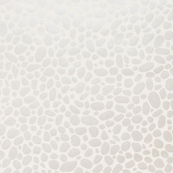 Hoya - Products