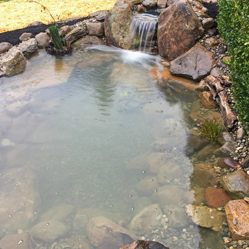 Winter Pond Build