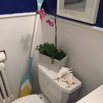 Nautical Bathroom-Bachelor Pad-Philadelphia, PA (Luxe for Less Package)
