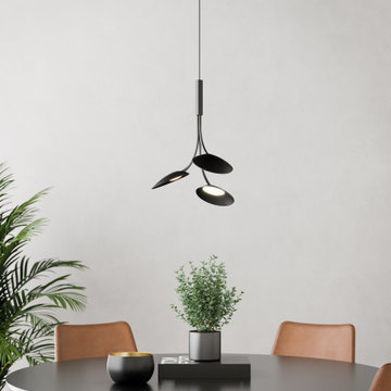 The Rotaire Collection