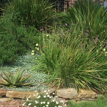 Xeriscapes, examples of our work