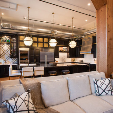 Downtown Denver Modern Loft Kitchen