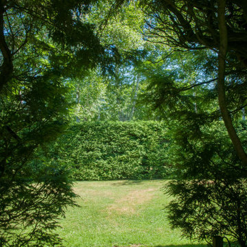 Create a meditation garden