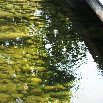 Schwimmteich