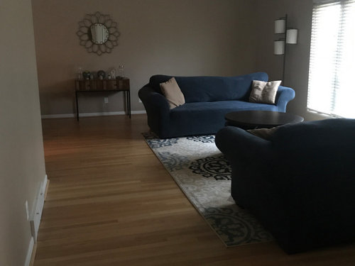 What to put in back corner behind couch?