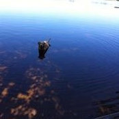 Robin Eaton's photo