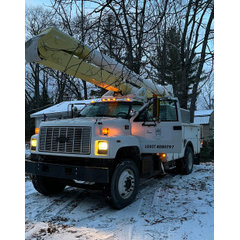 McFadden Tree & Stump Removal