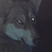 H Scott Cleland's photo