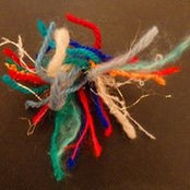Cathy Dunbar's photo