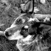 Shannon Wingate Simpson's photo