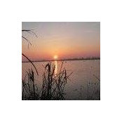 Barry Eugene's photo