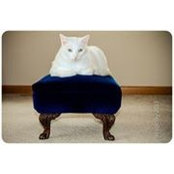 Jill Colosky's photo