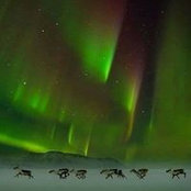 Lynne Standley's photo