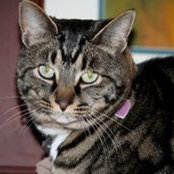 Barbara Baldwin's photo