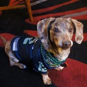 Jacki Huber's photo