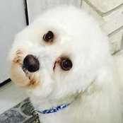 Isla Gar's photo