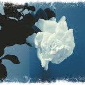 Clara Olivera's photo