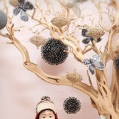 Alfredo Kim's photo