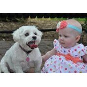 Angie Wilbricht Brown's photo