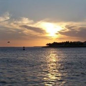 Gail Wait's photo