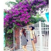 Linh Linh's photo