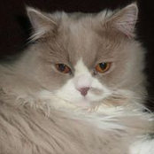 Kerstin Kaiser's photo