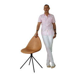 Dining Chairs - Dining Chairs