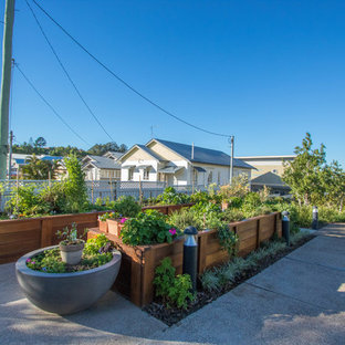 Jardin Potager Brisbane Photos Et Idées Déco De Jardins - 