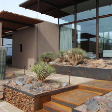 Jardin desertico