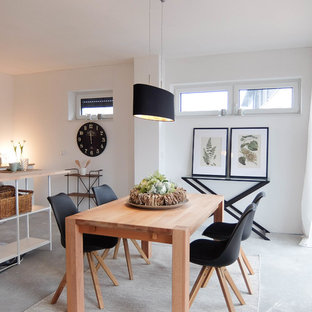 ブレーメンの小さい北欧風 LDKの画像 (白い壁、コンクリートの床、グレーの床)