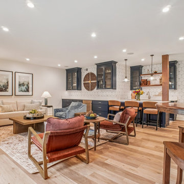 Vienna Lower Level Remodel