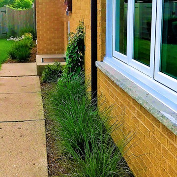 Hydrangea Tree Property