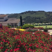 Wine Fore Shore's photo