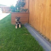 Paula Browne's photo