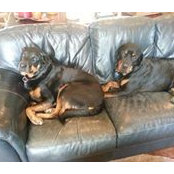 Roxanne Hoover's photo