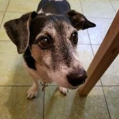 Lisa Mann Wolfe's photo