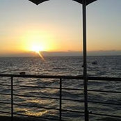 Brigitte Klinkhammer's photo