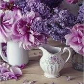 Afet Basarir Ozoflu's photo